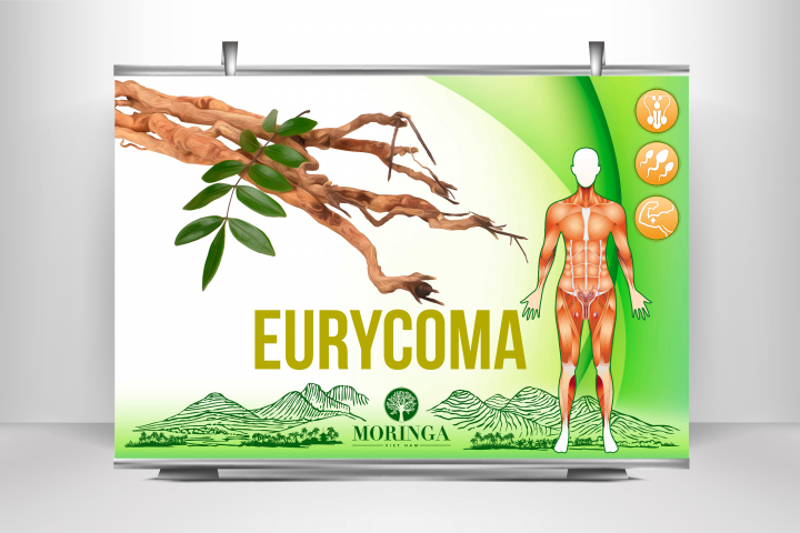 Работа 3674442