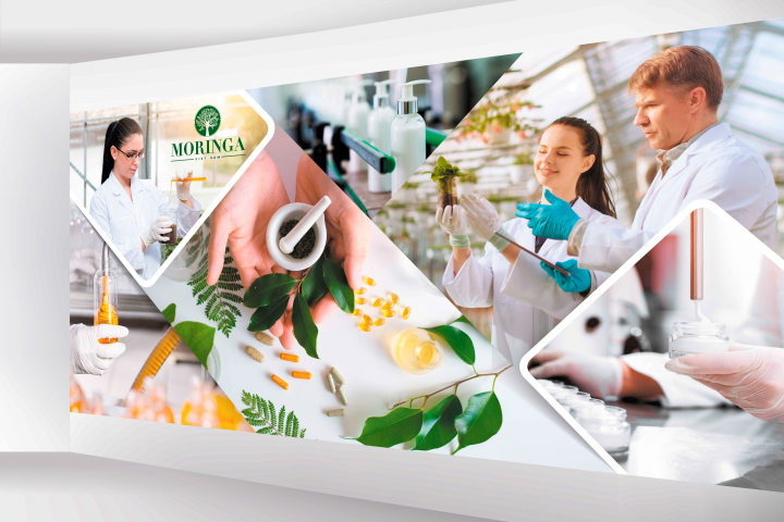 Работа 3674439