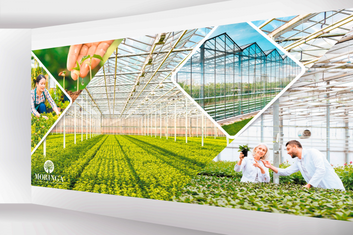 Работа 3674437