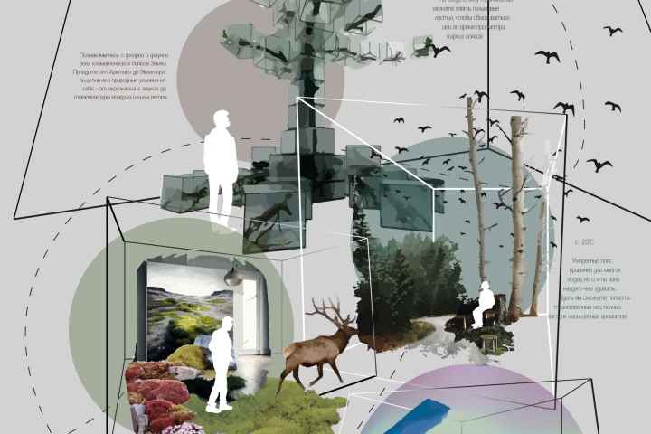 Концепт выставки "Путешествие по климатическим поясам"