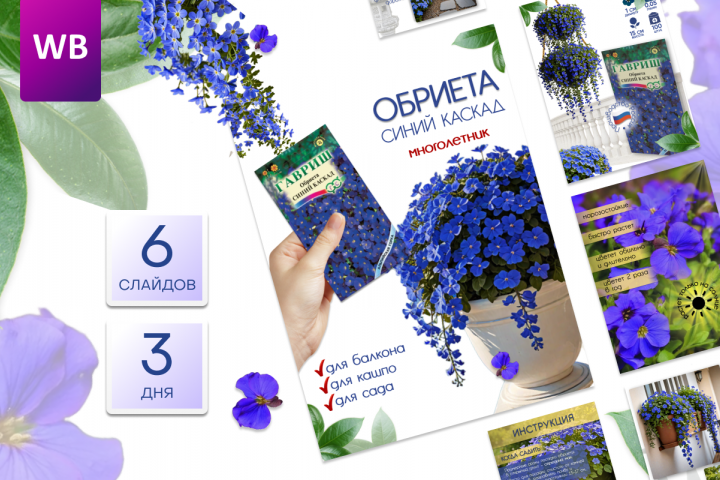 Инфографика 6 карточек Wildberries