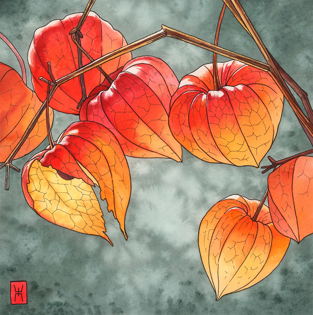 pic4567597.jpg
