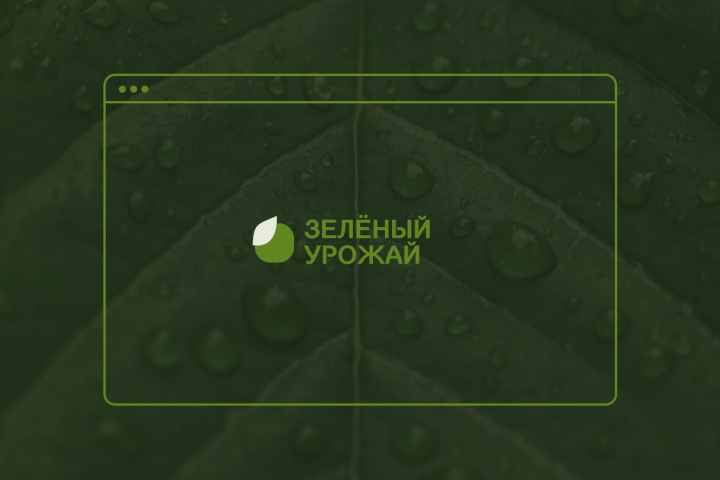 Дизайн-концепт сайта компании по производству овощей