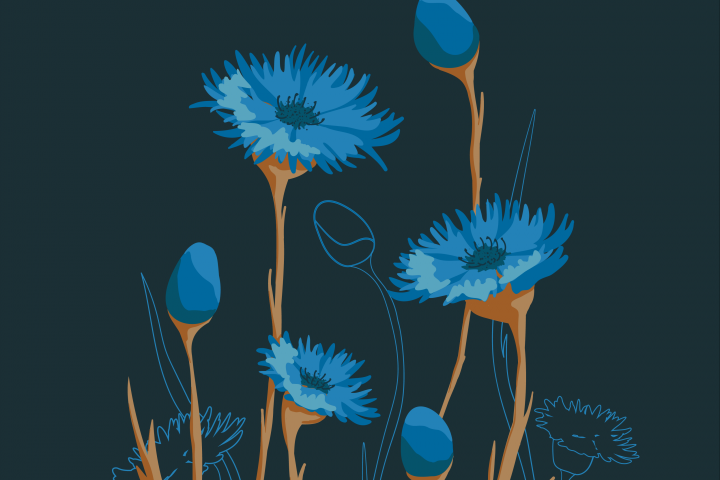 Векторные цветы_1
