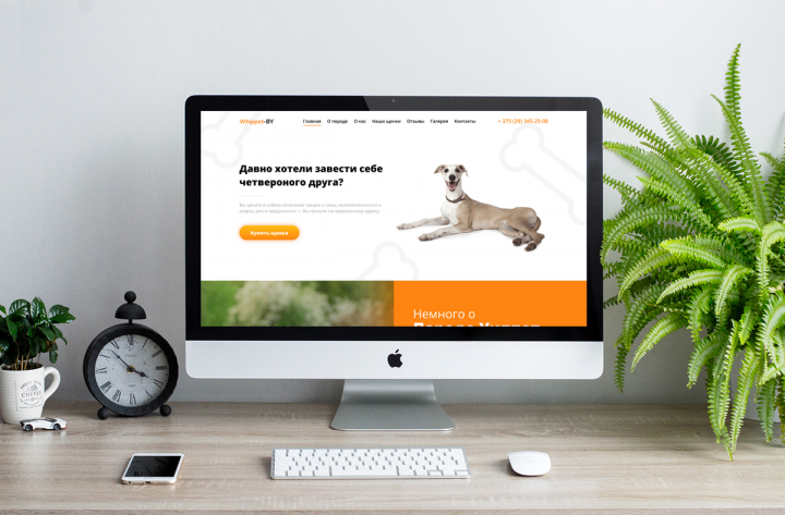 Питомник "Whippet"