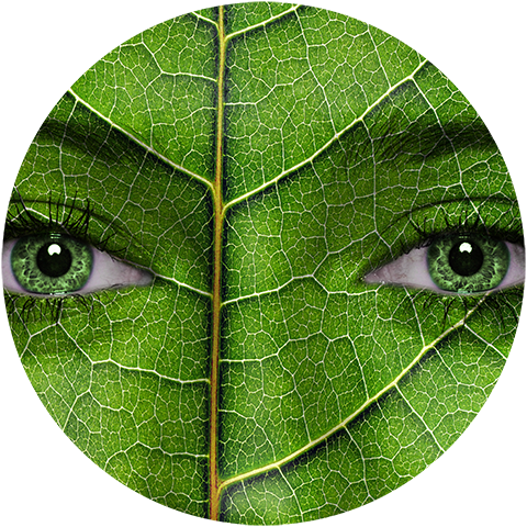 Лифлет для экопроекта