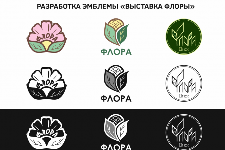 Разработка эмблемы