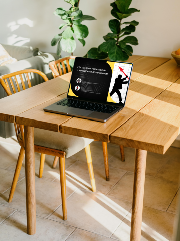 Бизнес презентация для Яндекс Крауд