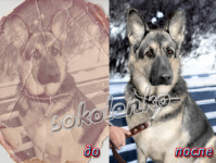 Реставрация и колорирование старой фотографии