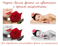 Работа 2867880