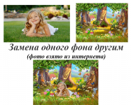 Работа 2867862