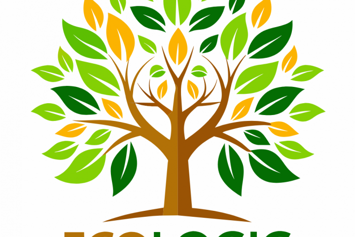 Логотип компании экотуризма