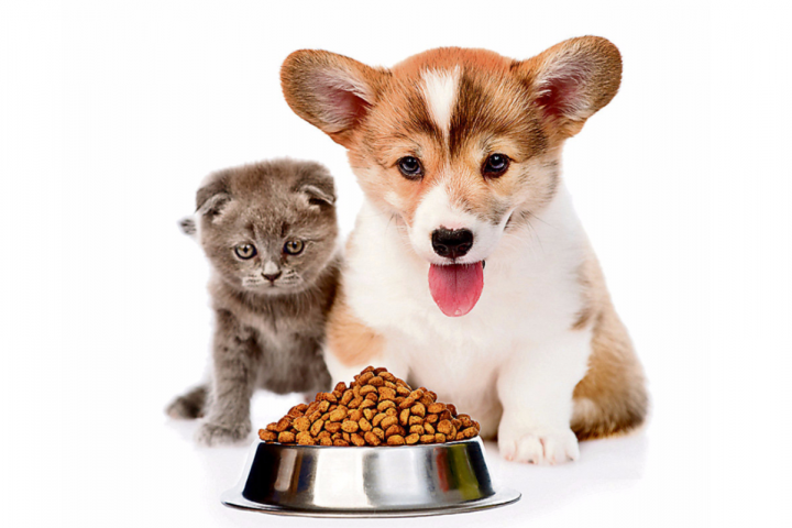 Продающий текст для товаров на маркетплейсе