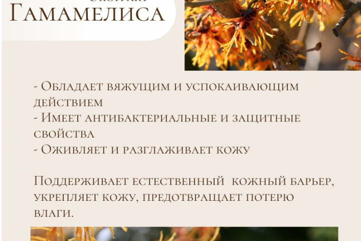 Инфографика описание