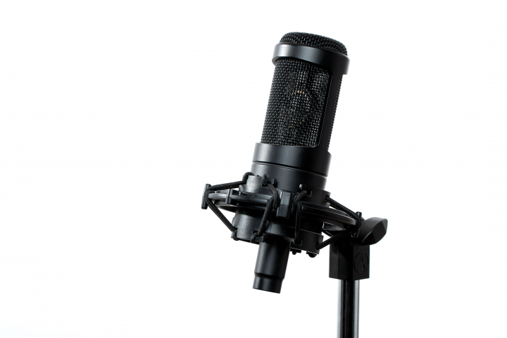 Дикторская Озвучка