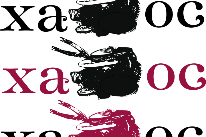 Разработка логотипа для кафе "Хаос"