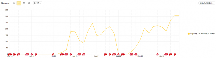 SEO. Узкоспециализированный Ecommerce.