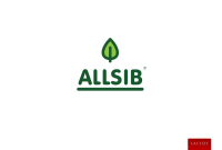 Логотип ALLSIB