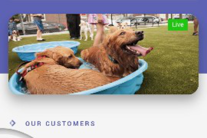 Гостиница для дом.животных