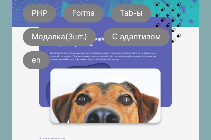 Мой сайт портфолио