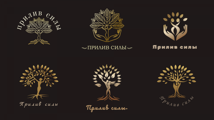 Варианты логотипа для трансформационного пространства