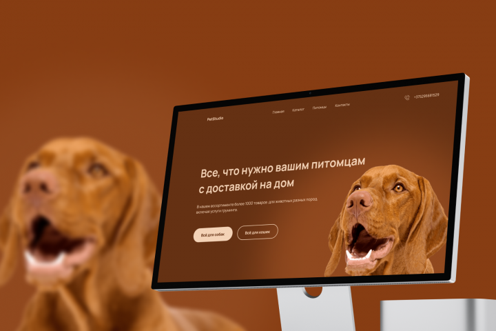 ux/ui design