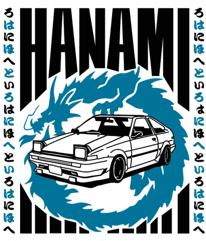 Принт на одежду