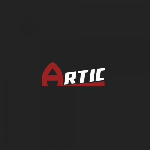 Пример логотипа ARTIC