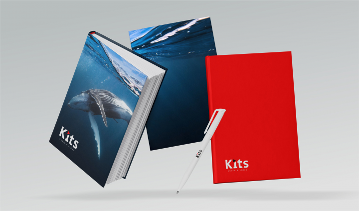 Лого и фирменный стиль KIts