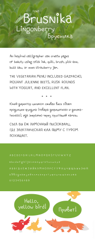 Шрифт "Брусника"