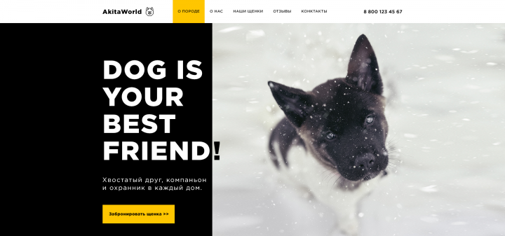 Главная страница сайта (вариант 1)