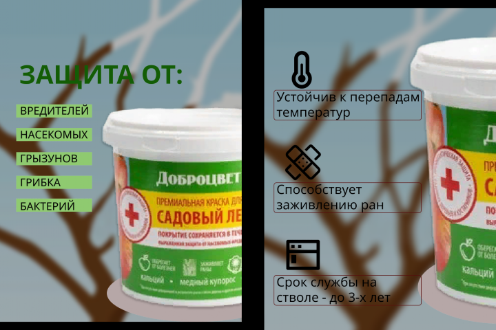 Инфографика для краски для дерева