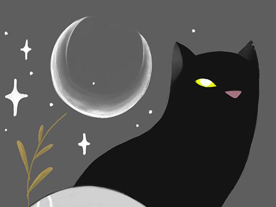 Ночью все кошки серы