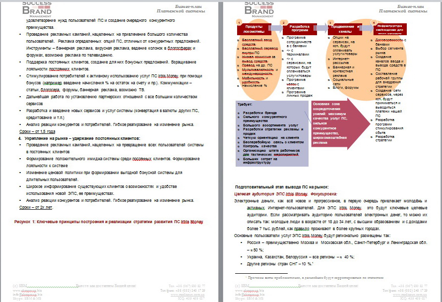 Рынок электронных платежных систем России и стран СНГ за последн
