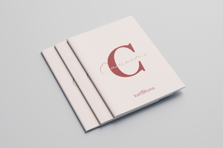 Мокап обложки брошюры.