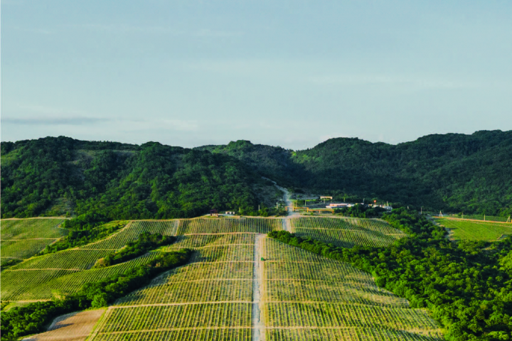 Баннер для студии йоги.