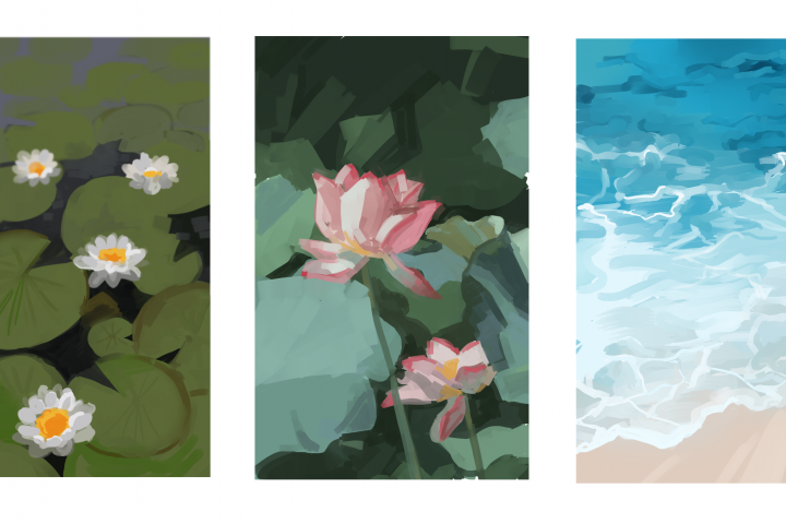 Цифровые иллюстрации