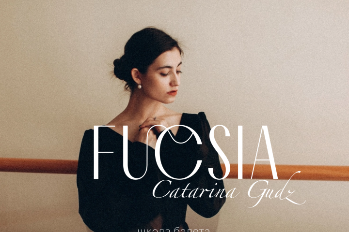 Фирменный стиль для школы балета "FUCSIA" г.Владивосток