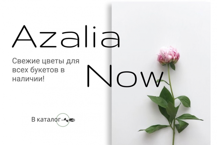 Сайт для Azalia Now