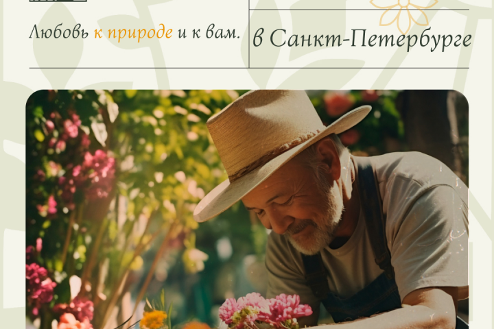 Публикация в соц сети