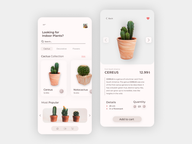 Дизайн приложения для интернет-магазина ромнатных растений