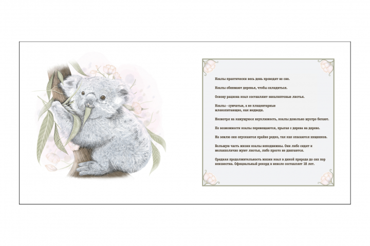 Иллюстрация книги о животных