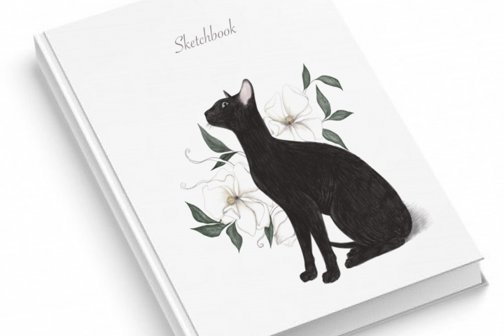 Иллюстрация обложки