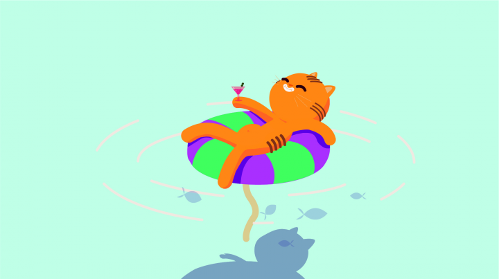 Кот на пляже