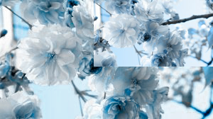 Редактирование фото