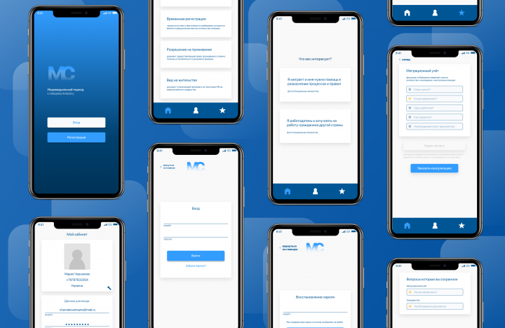 Приложение для миграционной службы