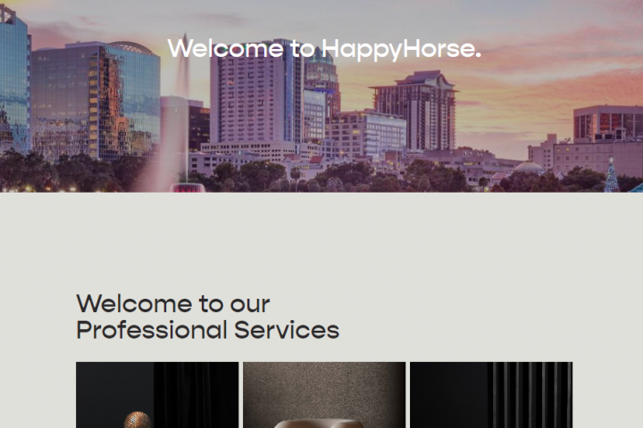 Happy Horse