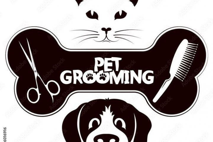 Примеры работы