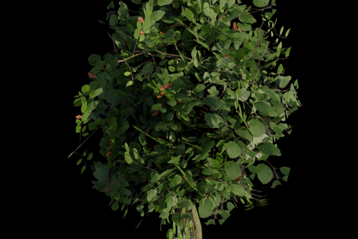 Low-poly дерево.