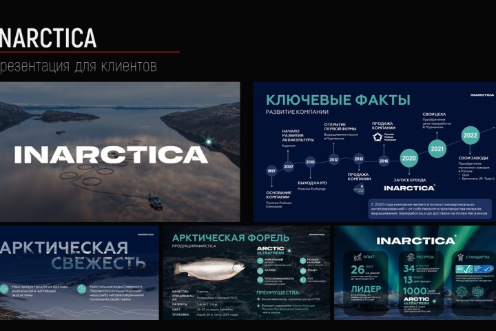 INARCTICA - презентация для клиентов
